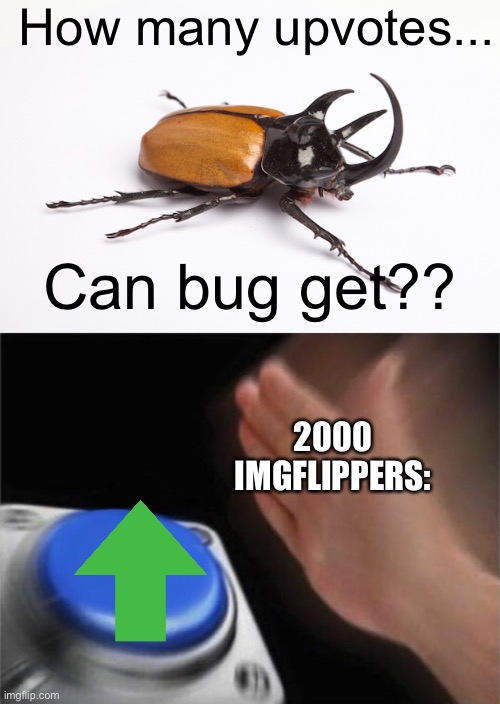 Meme #895 | How many upvotes... Can bug get?? 2000 IMGFLIPPERS: | image tagged in memes,blank nut button,upvotes,upvote begging,upvote beggars | made w/ Imgflip meme maker