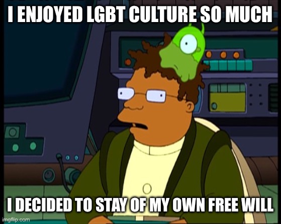 Futurama Hermes brain slug | I ENJOYED LGBT CULTURE SO MUCH; I DECIDED TO STAY OF MY OWN FREE WILL | image tagged in futurama hermes brain slug | made w/ Imgflip meme maker