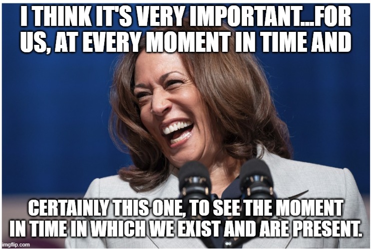 Veep Thoughts 31 | I THINK IT'S VERY IMPORTANT...FOR US, AT EVERY MOMENT IN TIME AND; CERTAINLY THIS ONE, TO SEE THE MOMENT IN TIME IN WHICH WE EXIST AND ARE PRESENT. | image tagged in kamala harris | made w/ Imgflip meme maker