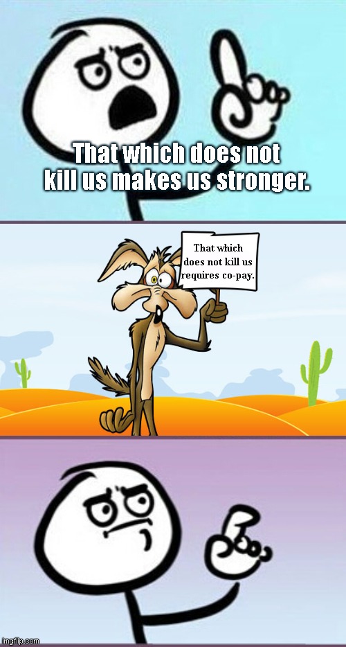 Good point | That which does not kill us makes us stronger. That which does not kill us requires co-pay. | image tagged in good point uh,that which does not kill us,wile e coyote,sayings,funny,humor | made w/ Imgflip meme maker