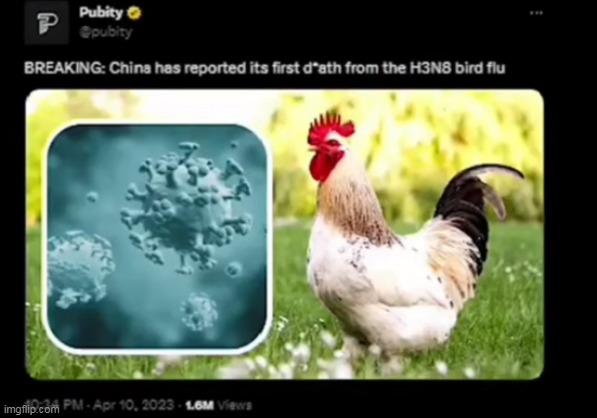 ROUND 2 | made w/ Imgflip meme maker