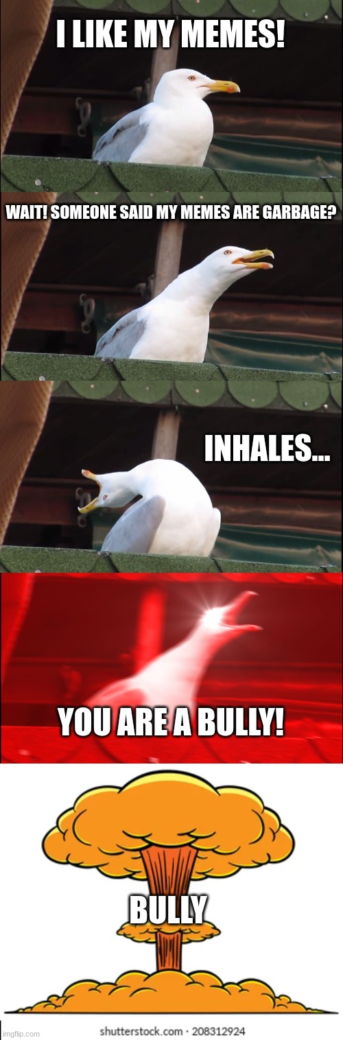 My Memes Are Funny! | I LIKE MY MEMES! WAIT! SOMEONE SAID MY MEMES ARE GARBAGE? INHALES... YOU ARE A BULLY! BULLY | image tagged in memes,inhaling seagull | made w/ Imgflip meme maker