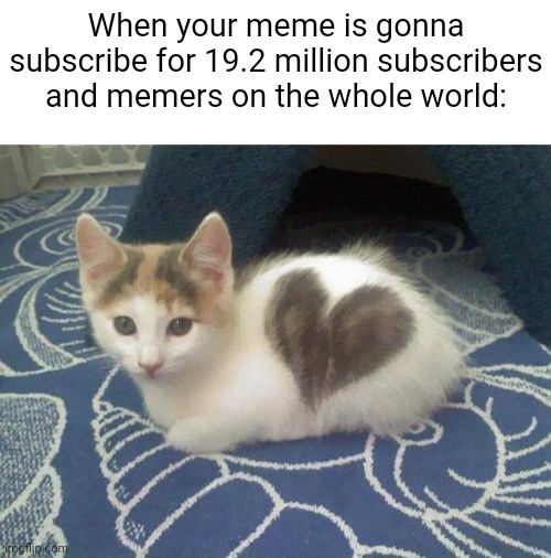 Cats approves: | When your meme is gonna subscribe for 19.2 million subscribers and memers on the whole world: | image tagged in cute cat heart | made w/ Imgflip meme maker
