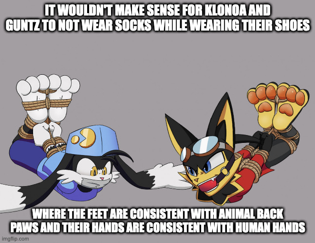 Bonded Klonoa and Guntz | IT WOULDN'T MAKE SENSE FOR KLONOA AND GUNTZ TO NOT WEAR SOCKS WHILE WEARING THEIR SHOES; WHERE THE FEET ARE CONSISTENT WITH ANIMAL BACK PAWS AND THEIR HANDS ARE CONSISTENT WITH HUMAN HANDS | image tagged in klonoa,guntz,memes | made w/ Imgflip meme maker