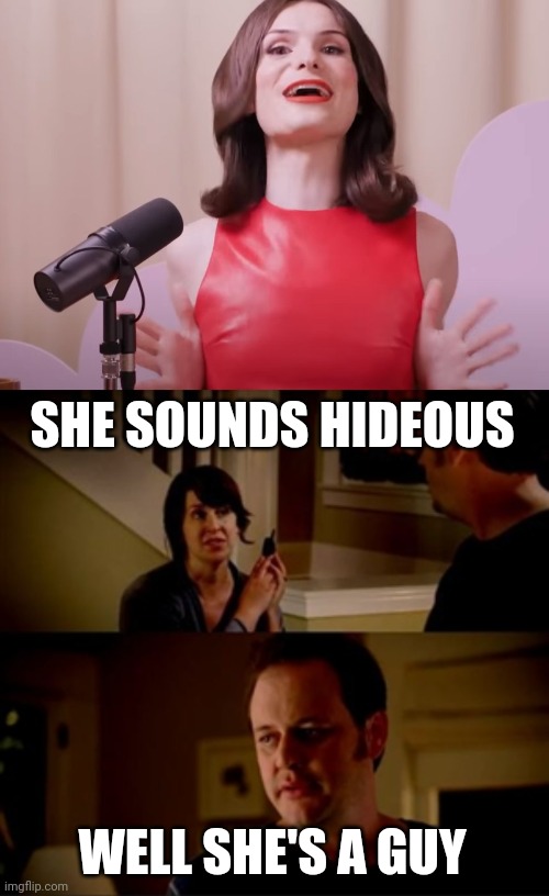 SHE SOUNDS HIDEOUS WELL SHE'S A GUY | image tagged in dylan mulvaney,jake from state farm | made w/ Imgflip meme maker