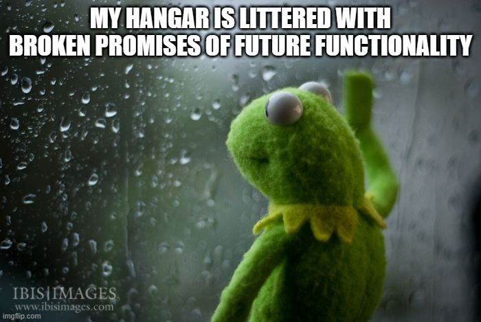 kermit window | MY HANGAR IS LITTERED WITH BROKEN PROMISES OF FUTURE FUNCTIONALITY | image tagged in kermit window | made w/ Imgflip meme maker