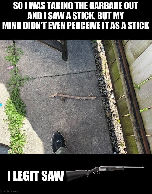 Nostalgia | SO I WAS TAKING THE GARBAGE OUT
AND I SAW A STICK, BUT MY MIND DIDN'T EVEN PERCEIVE IT AS A STICK; I LEGIT SAW | image tagged in stick,funny,i never know what to put for tags,meme | made w/ Imgflip meme maker