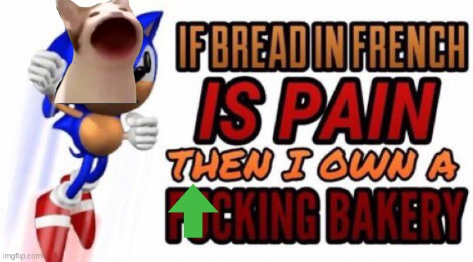 If bread in french is pain | image tagged in if bread in french is pain | made w/ Imgflip meme maker