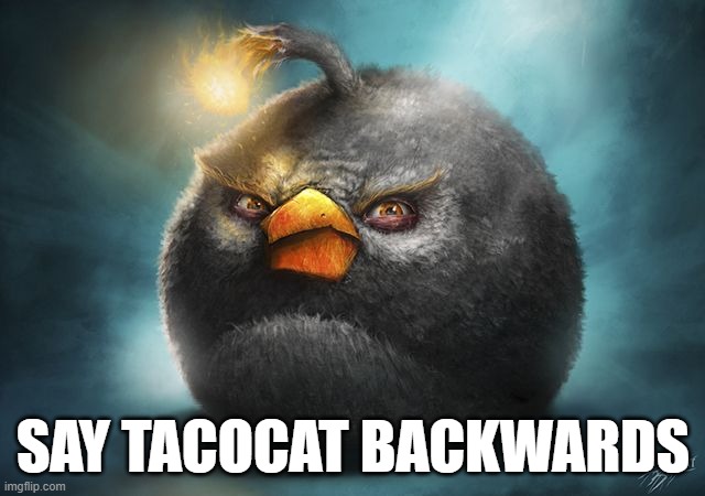 The | SAY TACOCAT BACKWARDS | image tagged in angry birds bomb,memes,funny,stop reading the tags | made w/ Imgflip meme maker