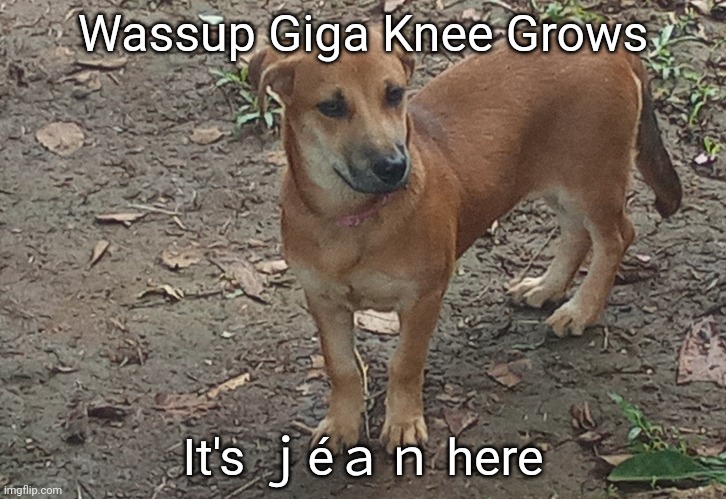 jéan | Wassup Giga Knee Grows; It's ｊéａｎ here | image tagged in j an | made w/ Imgflip meme maker