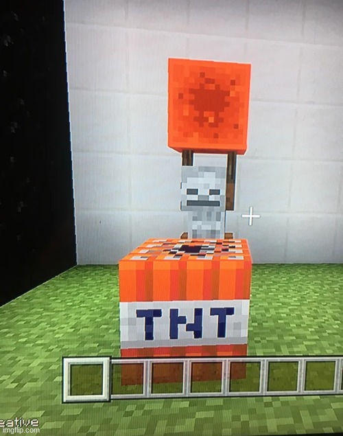 Skeleton Placing Redstone Block on TNT | image tagged in skeleton placing redstone block on tnt | made w/ Imgflip meme maker