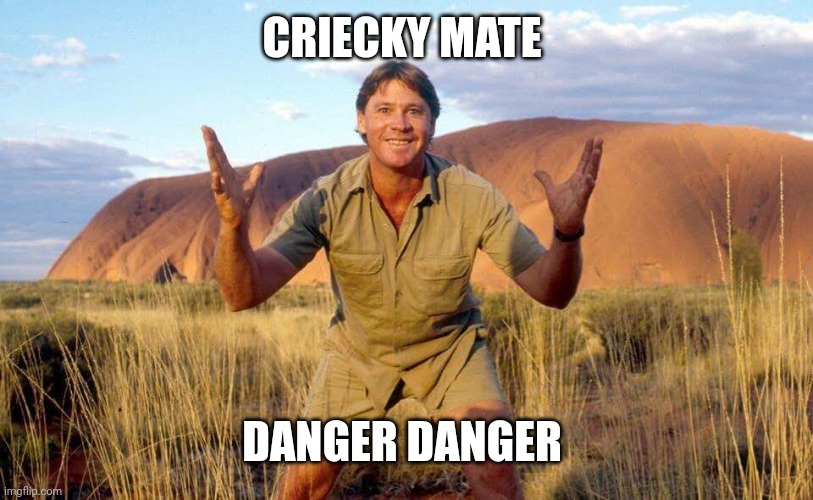Steve Irwin Crocodile Hunter  | CRIECKY MATE DANGER DANGER | image tagged in steve irwin crocodile hunter | made w/ Imgflip meme maker