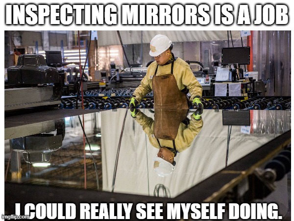 Mirror inspector | INSPECTING MIRRORS IS A JOB; I COULD REALLY SEE MYSELF DOING. | image tagged in memes,eyeroll,dad joke | made w/ Imgflip meme maker