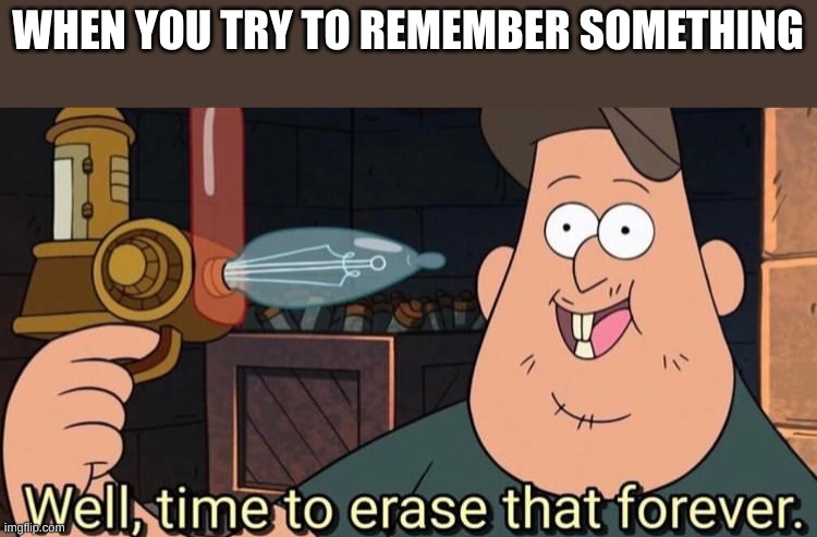Well, time to erase that forever | WHEN YOU TRY TO REMEMBER SOMETHING | image tagged in well time to erase that forever | made w/ Imgflip meme maker