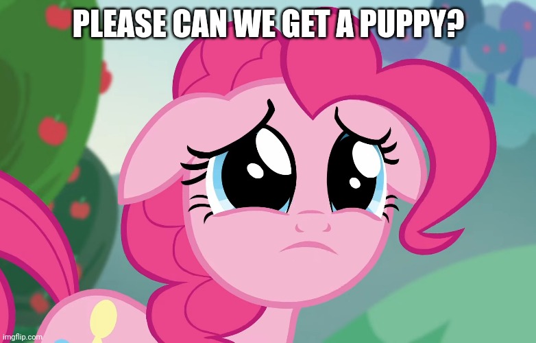 PLEASE CAN WE GET A PUPPY? | made w/ Imgflip meme maker
