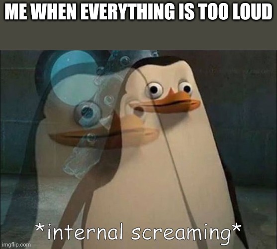 Private Internal Screaming | ME WHEN EVERYTHING IS TOO LOUD | image tagged in private internal screaming | made w/ Imgflip meme maker
