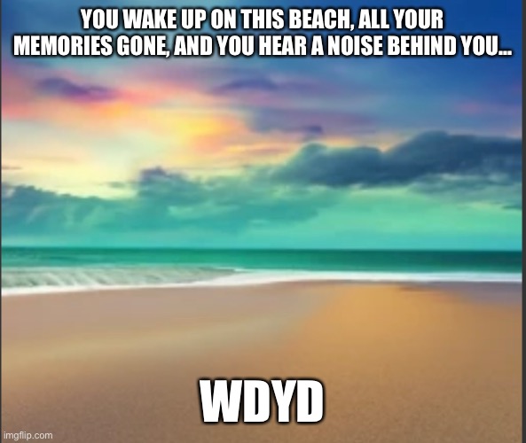 No Joke OCs or OP OCs. Powers are allowed. | YOU WAKE UP ON THIS BEACH, ALL YOUR MEMORIES GONE, AND YOU HEAR A NOISE BEHIND YOU…; WDYD | made w/ Imgflip meme maker