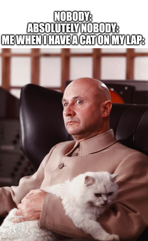 Cat | NOBODY:
ABSOLUTELY NOBODY:
ME WHEN I HAVE A CAT ON MY LAP: | image tagged in blofeld | made w/ Imgflip meme maker
