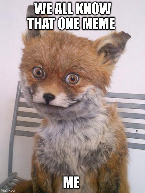 ##m#M#M# | WE ALL KNOW THAT ONE MEME; ME | image tagged in scary fox | made w/ Imgflip meme maker