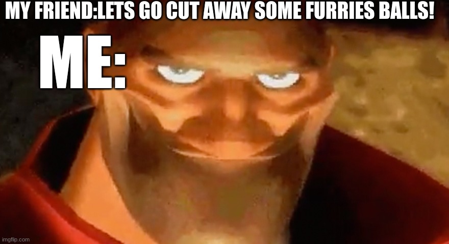 Creepy smile (heavy tf2) | MY FRIEND:LETS GO CUT AWAY SOME FURRIES BALLS! ME: | image tagged in creepy smile heavy tf2 | made w/ Imgflip meme maker