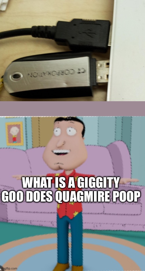 Giggity USB | WHAT IS A GIGGITY GOO DOES QUAGMIRE POOP | image tagged in memes,funny memes,family guy,aaaaaaaaaaaaaaaaaaaaaaaaaaa | made w/ Imgflip meme maker