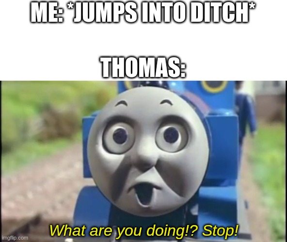 Thomas the Watcher | ME: *JUMPS INTO DITCH*; THOMAS:; What are you doing!? Stop! | image tagged in the o' face | made w/ Imgflip meme maker
