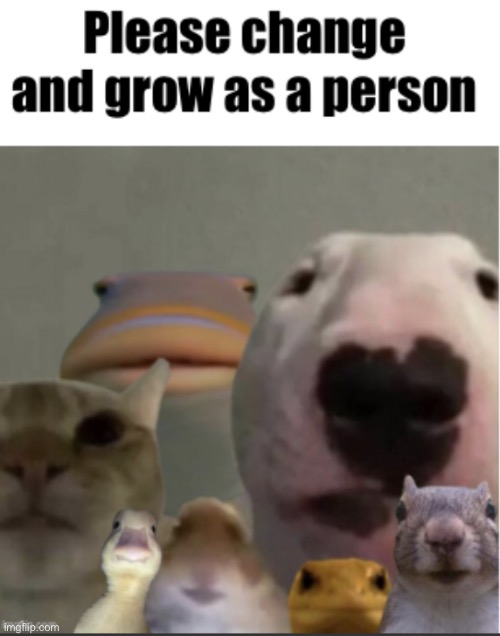 Please change and grow as a person | image tagged in please change and grow as a person | made w/ Imgflip meme maker