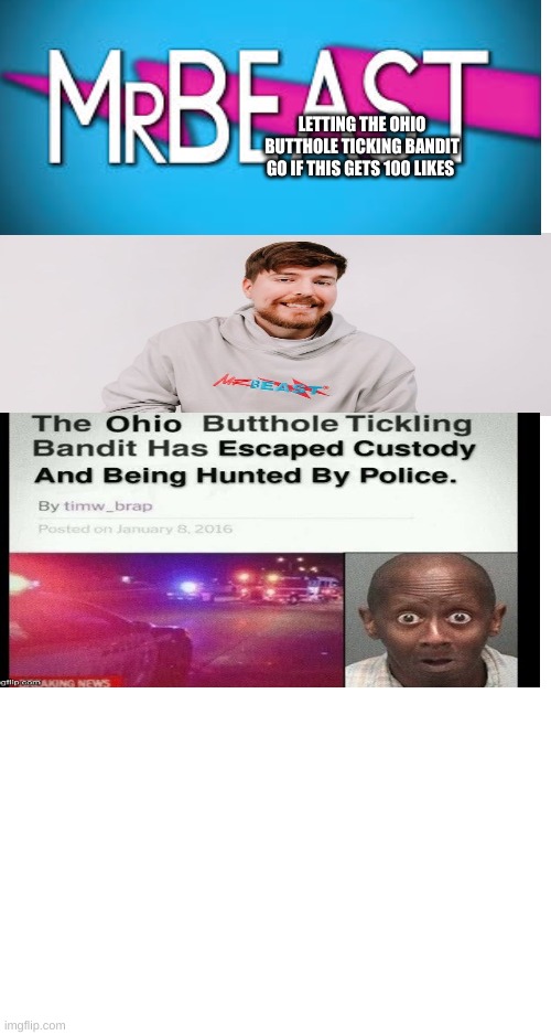 the ohio butt hole ticking bandit | LETTING THE OHIO BUTTHOLE TICKING BANDIT GO IF THIS GETS 100 LIKES | image tagged in only in ohio,butt hole ticking bandit | made w/ Imgflip meme maker
