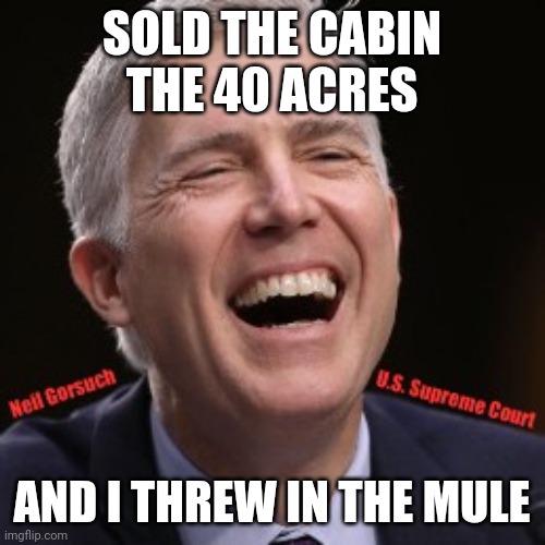 Real tho | SOLD THE CABIN
THE 40 ACRES; AND I THREW IN THE MULE | image tagged in neil gorsuch u s supreme court | made w/ Imgflip meme maker