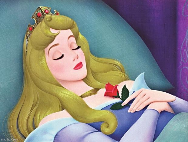 sleeping beauty | image tagged in sleeping beauty | made w/ Imgflip meme maker