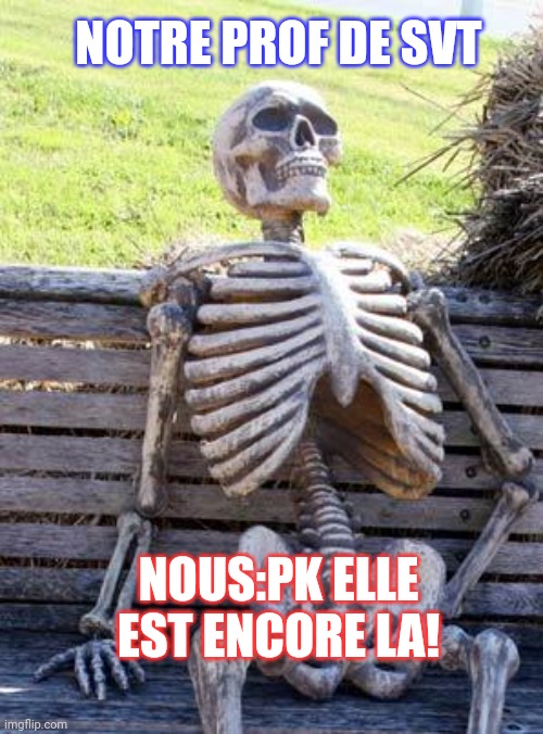 Svt | NOTRE PROF DE SVT; NOUS:PK ELLE EST ENCORE LA! | image tagged in memes,waiting skeleton | made w/ Imgflip meme maker