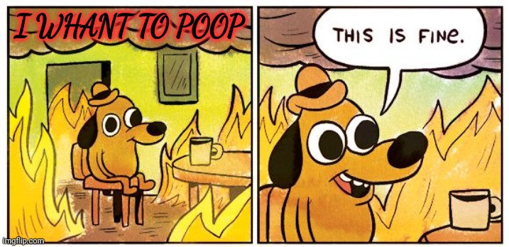 XD | I WHANT TO POOP | image tagged in memes,this is fine | made w/ Imgflip meme maker