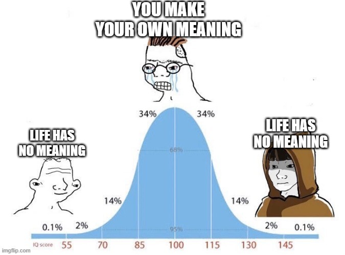 Philosophy | YOU MAKE YOUR OWN MEANING; LIFE HAS NO MEANING; LIFE HAS NO MEANING | image tagged in bell curve,philosophy | made w/ Imgflip meme maker