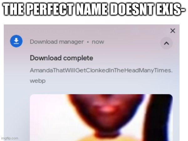 The perfect name doesnt exis- | THE PERFECT NAME DOESNT EXIS- | image tagged in amandatheadventurer | made w/ Imgflip meme maker