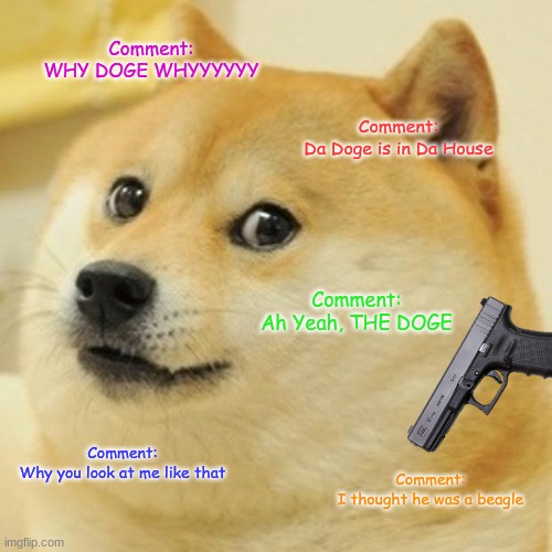 Doge Comments | Comment:
WHY DOGE WHYYYYYY; Comment:
Da Doge is in Da House; Comment:
Ah Yeah, THE DOGE; Comment:
Why you look at me like that; Comment:
I thought he was a beagle | image tagged in memes,doge | made w/ Imgflip meme maker