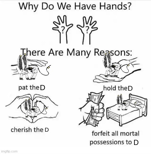 Why do we have hands? (all blank) | D; D; D; D | image tagged in why do we have hands all blank,murder drones,cute | made w/ Imgflip meme maker