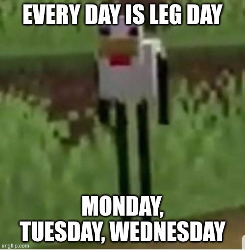 When they tried to put me on the cover of vog, but my legs were just too long | EVERY DAY IS LEG DAY; MONDAY, TUESDAY, WEDNESDAY | image tagged in cursed minecraft chicken,kiwi | made w/ Imgflip meme maker