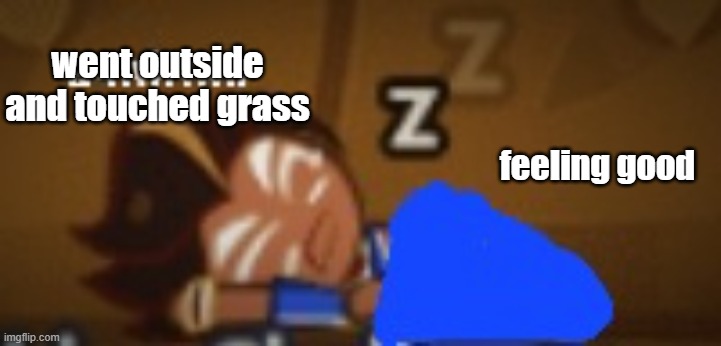 a mirmir choco ball | went outside and touched grass; feeling good | image tagged in a mirmir choco ball | made w/ Imgflip meme maker