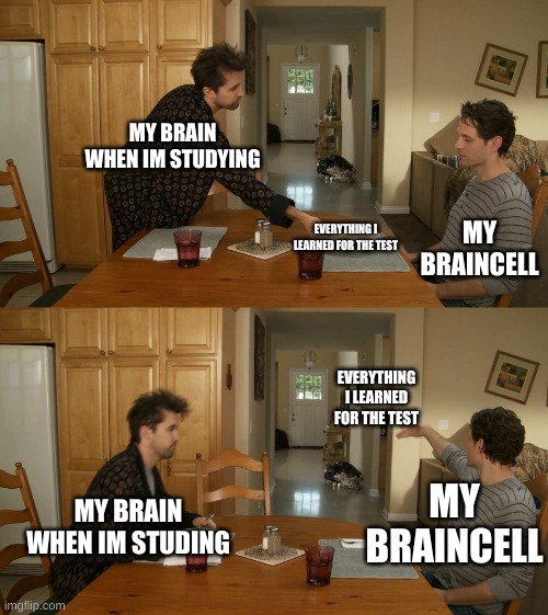 haha im back after 5 months (or 6) also here's you go a fresh new meme | MY BRAIN WHEN IM STUDYING; MY BRAINCELL; EVERYTHING I LEARNED FOR THE TEST; EVERYTHING I LEARNED FOR THE TEST; MY BRAIN WHEN IM STUDING; MY BRAINCELL | image tagged in plate toss | made w/ Imgflip meme maker