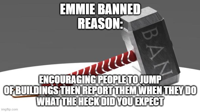 mom stopped me fortunately | EMMIE BANNED
REASON:; ENCOURAGING PEOPLE TO JUMP OF BUILDINGS THEN REPORT THEM WHEN THEY DO
WHAT THE HECK DID YOU EXPECT | image tagged in da banhammer | made w/ Imgflip meme maker