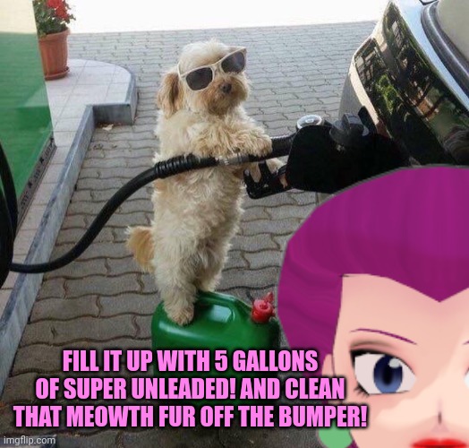 FILL IT UP WITH 5 GALLONS OF SUPER UNLEADED! AND CLEAN THAT MEOWTH FUR OFF THE BUMPER! | made w/ Imgflip meme maker