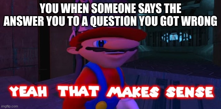 Mario that make sense | YOU WHEN SOMEONE SAYS THE ANSWER YOU TO A QUESTION YOU GOT WRONG | image tagged in mario that make sense | made w/ Imgflip meme maker