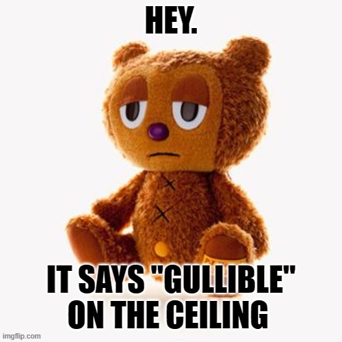 Pj plush | HEY. IT SAYS "GULLIBLE" ON THE CEILING | image tagged in pj plush | made w/ Imgflip meme maker