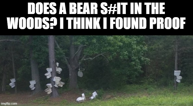 In the Woods | DOES A BEAR S#IT IN THE WOODS? I THINK I FOUND PROOF | image tagged in toilets | made w/ Imgflip meme maker