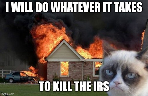 when your cat takes it too far... | I WILL DO WHATEVER IT TAKES; TO KILL THE IRS | image tagged in memes,burn kitty,grumpy cat | made w/ Imgflip meme maker