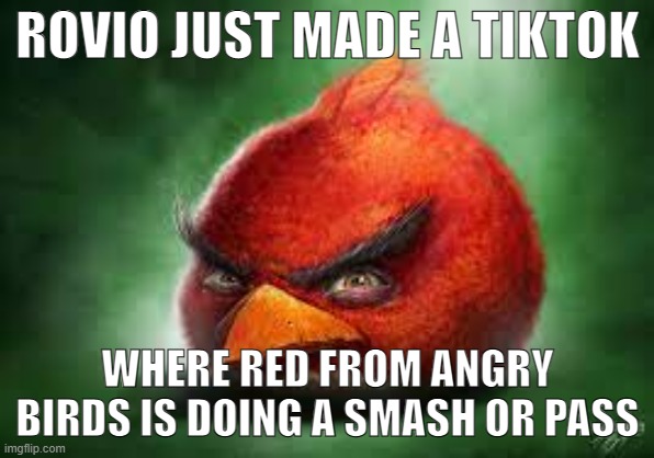 deadass | ROVIO JUST MADE A TIKTOK; WHERE RED FROM ANGRY BIRDS IS DOING A SMASH OR PASS | image tagged in realistic red angry birds | made w/ Imgflip meme maker