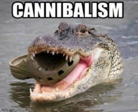 *fake laughter effect* | image tagged in crocs,crocodile,cannibalism | made w/ Imgflip meme maker