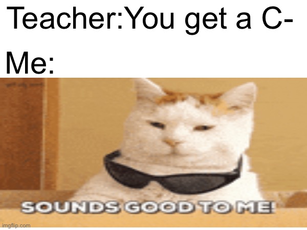 Me evryday | Teacher:You get a C-; Me: | image tagged in funny,cats,school | made w/ Imgflip meme maker