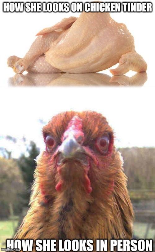 HOW SHE LOOKS ON CHICKEN TINDER HOW SHE LOOKS IN PERSON | image tagged in sexy chicken,revenge chicken | made w/ Imgflip meme maker