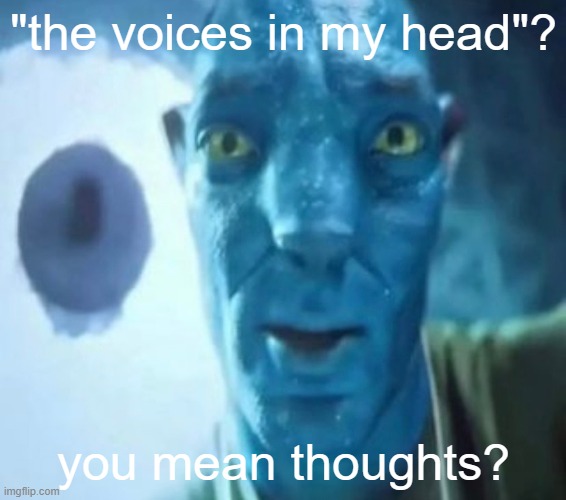 Avatar guy | "the voices in my head"? you mean thoughts? | image tagged in avatar guy | made w/ Imgflip meme maker